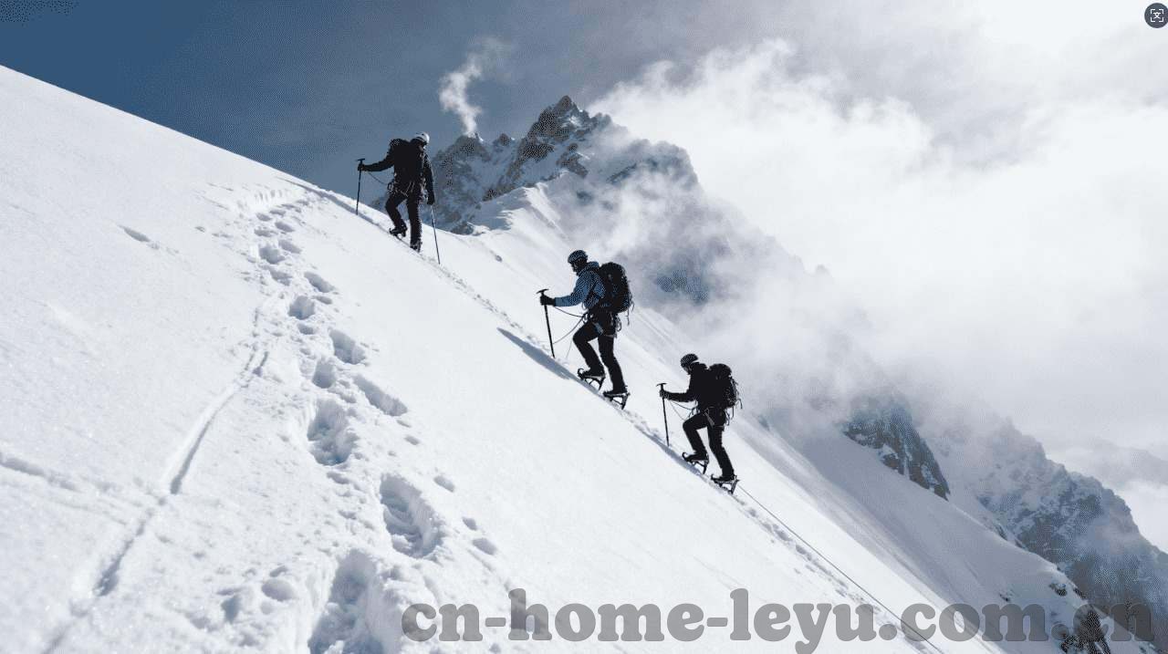 世界杯足球竞彩计算器-世界杯足球竞彩计算器，精准预测与策略制定的智慧工具